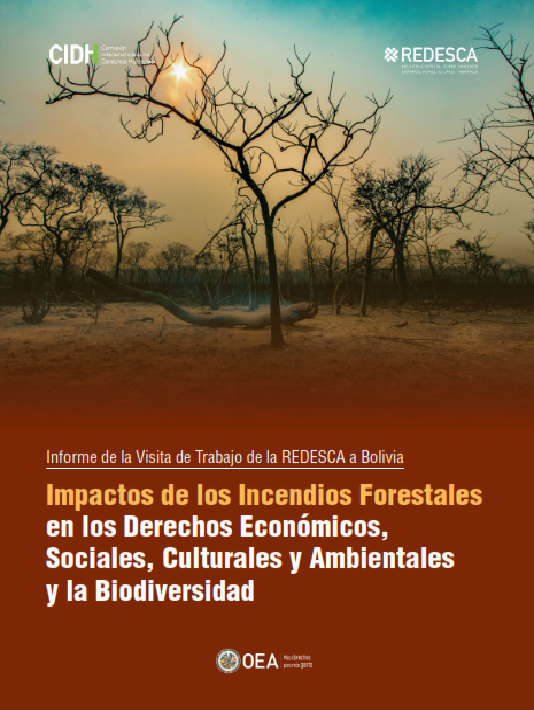Impactos de los incendios forestales en los derechos económicos, sociales, culturales y ambientales y la biodiversidad | REDESCA
