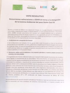 Voto resolutivo | Denunciamos vulneraciones a DDHH en torno a la otorgación de Licencia ambiental Domo Oso X3