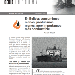 Cedib Informa | En Bolivia consumimos menos, producimos menos e importamos más