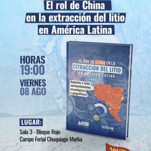 Post Libro litio china FILP (1)