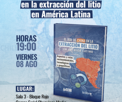 Post Libro litio china FILP (1)