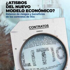 ¿Atisbos del nuevo modelo económico? Balance de riesgos y beneficios de los contratos de litio