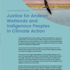 Justice for Andean Wetlands and Indigenous Peoples in Climate Action | AHA Documento