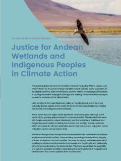 Justice for Andean Wetlands and Indigenous Peoples in Climate Action | AHA Informe