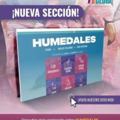 517371317_1154917516674076_5887740155853566551_n ¡Nueva sección Humedales en Bolivia! Te invitamos a conocer la biodiversidad de nuestros ecosistemas