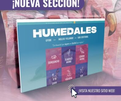 517371317_1154917516674076_5887740155853566551_n