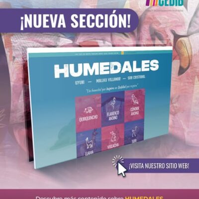 517371317_1154917516674076_5887740155853566551_n