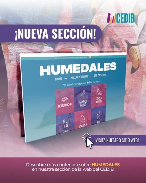 517371317_1154917516674076_5887740155853566551_n