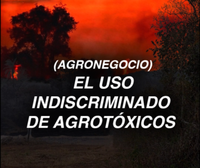AGROTOXICOS 1 OP2