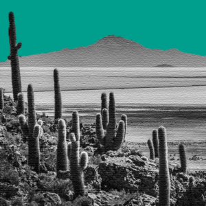 LitioNewsWeb LitioNewsWeb