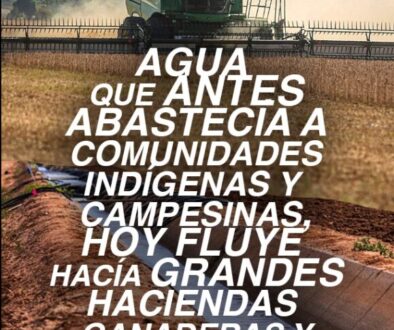 WhatsApp Image 2025-11-18 at 7.08.58 PM