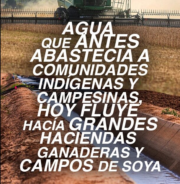 WhatsApp Image 2025-11-18 at 7.08.58 PM