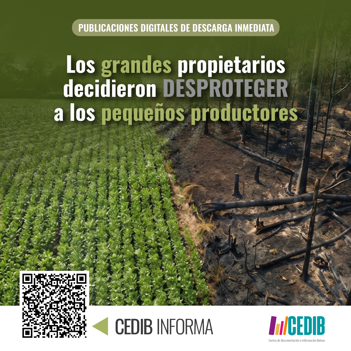 post 2cedib informaLEY DE CONVERSION (1) Los grandes propietarios decidieron desproteger a los pequeños productores