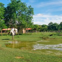 333 Pablo Villegas: Los grandes propietarios decidieron desproteger a los pequeños productores | Erbol (31.03.26)
