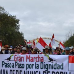 Domo Oso X3: Pactos económicos entre Petrobras y un comité de Saicán permitió la Licencia Ambiental que afecta a Tariquía | ANA Noticias (23.03.26)