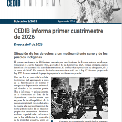 Cedib Informa | Reporte de DDHH en Bolivia enero a abril 2026
