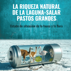 La riqueza natural de Laguna- salar Pastos Grandes | Máximo Liberman