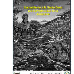 Llamamiento regional a la Santa Sede por la protección de la Amazonía