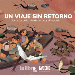 Un viaje sin retorno | Impactos de la minería de oro y del mercurio